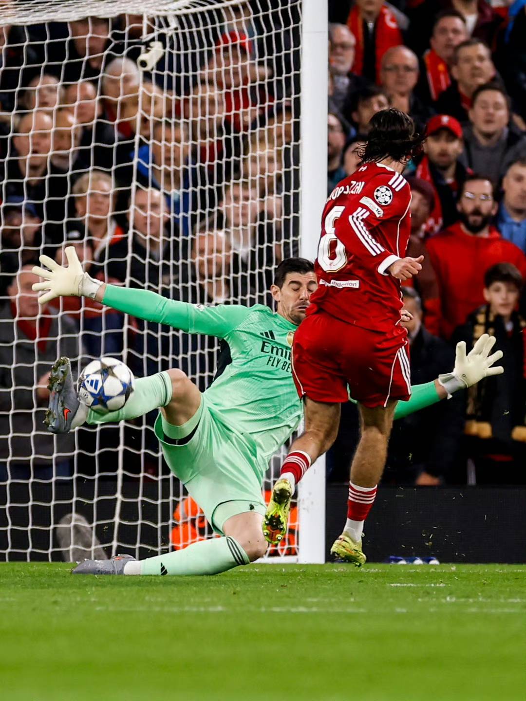 Here we go！罗马诺：狼队签下23岁挪威后卫沃尔费已达成协议（罗马诺确认：狼队已与23岁挪威后卫沃尔费达成签约协议）